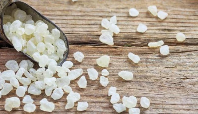 «Φάρμακο» η μαστίχα για την οστεοπόρωση